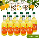 【ふるさと納税】 桜島小みかんサイダー「桜の雫」10本 送料無料 サイダー 炭酸 飲み物 飲料 ソフトドリンク ジュース みかん 小みかん 桜島小みかん 柑橘 桜の雫 鹿児島 鹿児島市 土産 贈り物 プレゼント ギフト