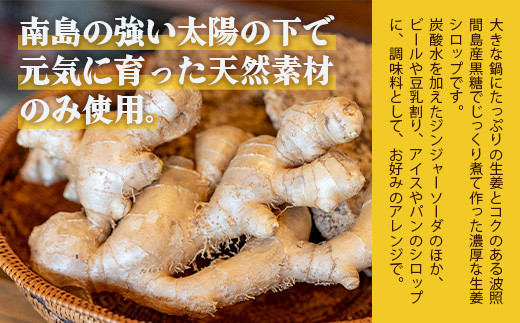 ジンジャーシロップ飲み⽐べ3種セット(200ML×1本、120ML×2本)　HW-5 【沖縄県石垣市 沖縄 沖縄県 琉球 八重山 八重山諸島 石垣 石垣島 送料無料 ⽯垣島産⽣姜 生姜 シロップ ジン