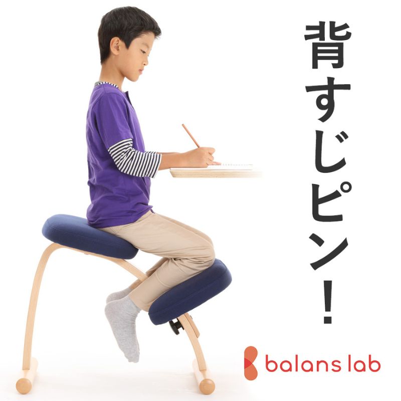 【ふるさと納税】バランス イージー(カバーなし)　　 デザインチェア インテリア 工芸品 背筋 イス 7段階調整