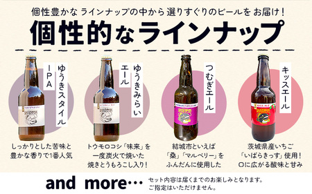 つむぎの郷発祥！クラフトビール 330ml おまかせ 5本 セット 株式会社結城麦酒《90に日以内出荷(土日祝除く)》茨城県 結城市 クラフトビール お酒 酒 ポップ 結城市産