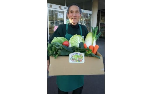【3カ月定期便】赤城南麓で育った季節の野菜 | 野菜セット 新鮮 旬野菜 朝どれ 農家直送 旬 野菜 鮮度 赤城山麓 群馬野菜 国産野菜 詰め合わせ 野菜詰合せ おまかせ野菜 野菜便 お取り寄せ 産直