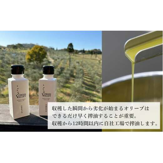 20本セット！「Virgin Valley 淡路阿利布」91ｇ（エキストラバージンオリーブオイル）_イメージ4