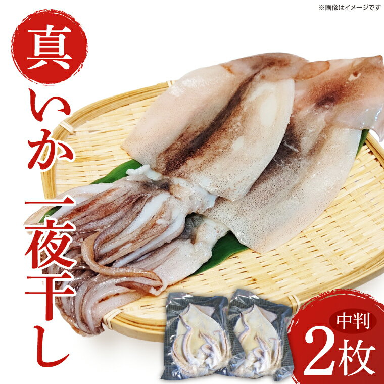 【ふるさと納税】【数量限定】【期間限定】真いか一夜干(中判2枚入り)（BH008）