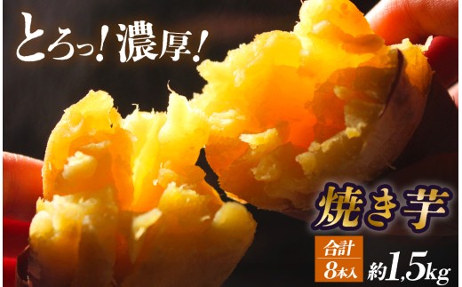 焼き芋 1,5kg 8本入りパック　【 さつまいも サツマイモ さつま芋 焼き芋 やきいも 冷凍 冷凍焼き芋 おすすめ オススメ 湯の花 伊豆 静岡県 南伊豆町 】 <BC-299>