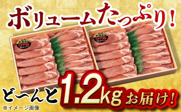 肉 豚 ぶた ブタ ロース しゃぶしゃぶ 小分け 西海市 長崎 九州 定期便