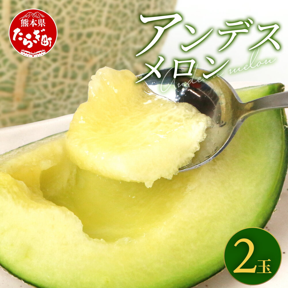 【ふるさと納税】先行予約 熊本県産 アンデスメロン 2玉 合計 約3kg メロン 果物 フルーツ 熊本県 多良木町 国産 送料無料 甘い 特大 品質 こだわり 食べごたえ 抜群 【2024年4月下旬以降発送分 先行予約】