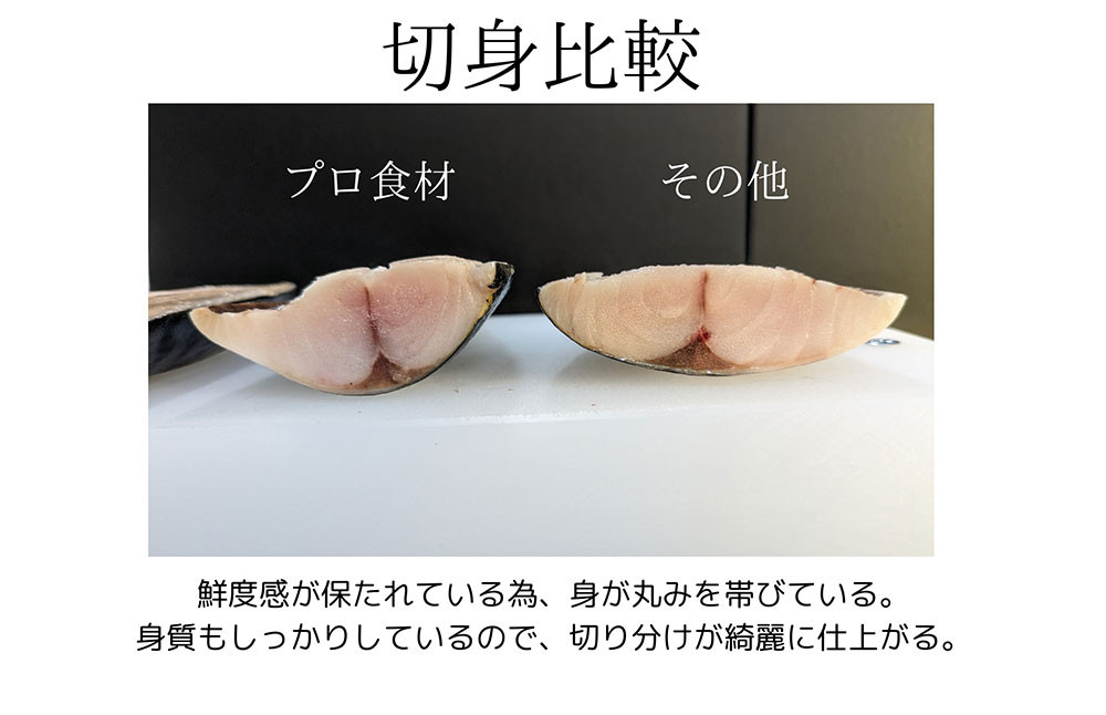 【2024年1月上旬より発送開始】プロ食材 サバフィーレ 5kg