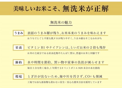 【1066】厚真のブランド米「さくら米（ななつぼし）無洗米」1年間毎月5㎏コース