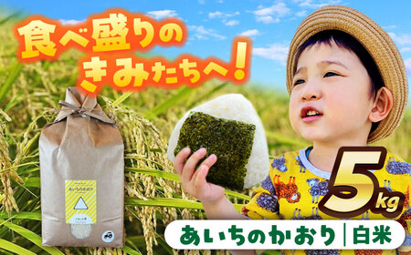 【先行予約/10月より順発送】 【令和7年度産 新米 】あいちのかおり 米 白米 5kg [AECS001]