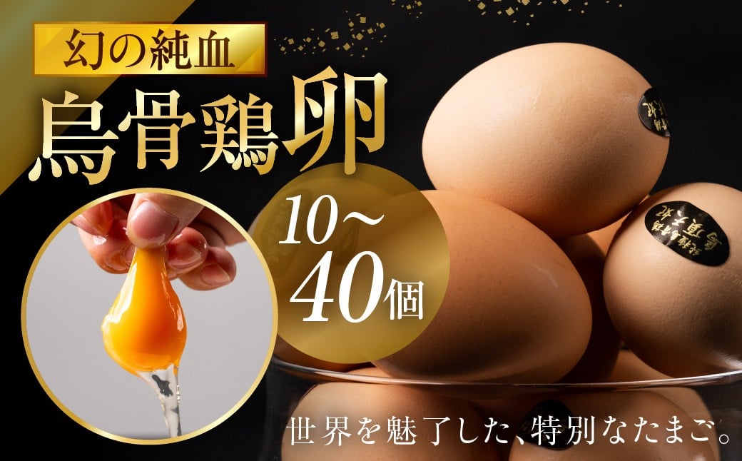 
                  ＼最高級たまご／烏骨鶏 卵 緩衝性に優れているモールド パック入 10個 20個 30個 40個 セット 定期便 3回 6回 12回 烏骨鶏 鳥骨鶏 たまご 玉子 高級 鶏 ニワトリ にわとり 烏骨鶏本舗 岐阜県 大垣市
                