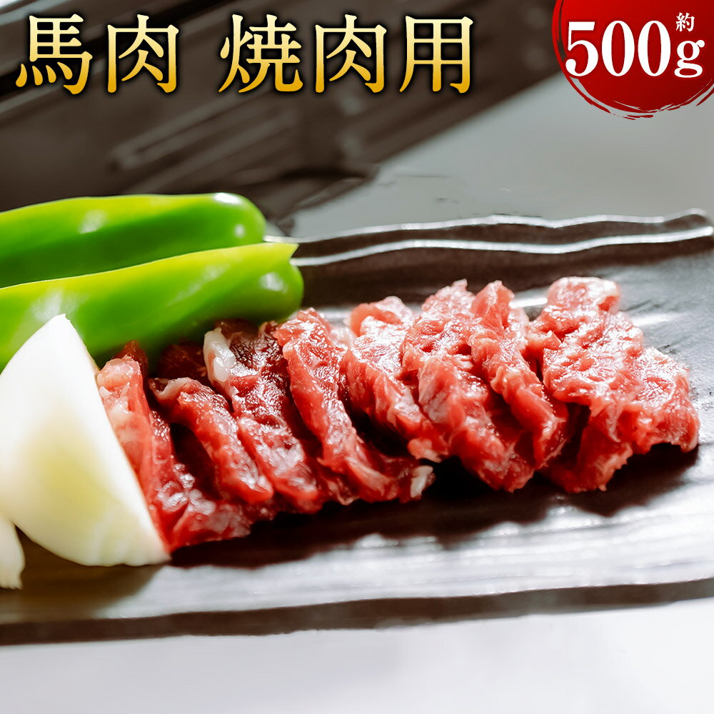 【ふるさと納税】【桜屋】馬肉 焼肉用 500g カット済 馬肉 お肉 馬焼き 焼き肉 冷凍 熊本県 水上村 送料無料