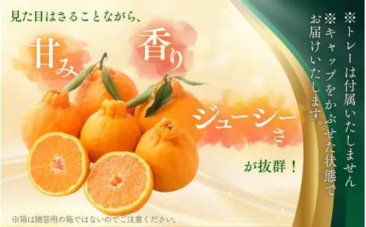 【先行予約】 秀品 ハウス不知火 5kg【M～3Lのサイズおまかせ】【2027年1月下旬から2027年4月上旬頃に順次発送】＜味好農園＞/不知火 デコポン 蜜柑 みかん 柑橘 果物 フルーツ 【agy