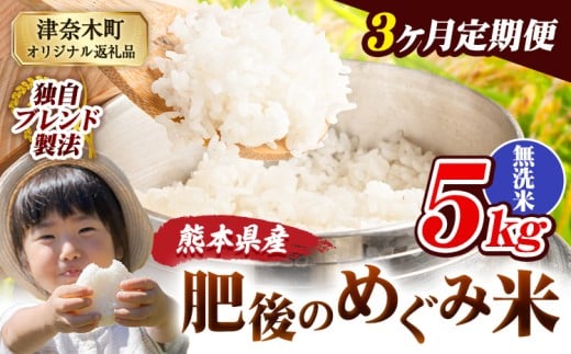 【3ヶ月定期便】無洗米 熊本県産 ブレンド米 肥後のめぐみ米 5kg 熊本県産 ふるさと納税 精米 米 こめ ふるさとのうぜい コメ お米 おこめ《お申込み翌月から出荷》