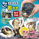 【ふるさと納税】 【先行予約】天領岩牡蠣 約1.5kg または 約 2.5kg 福島水産 牡蠣 かき カキ 岩カキ 岩ガキ 貝 BIG ビッグ 生食 バーベキュー 夏天草 天領 苓北 熊本 旬 シーズン 送料無料