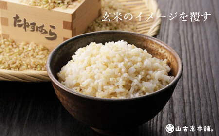 G3-10旧山古志村のこしひかり「たねすはら米」玄米5kg（新潟県産コシヒカリ）