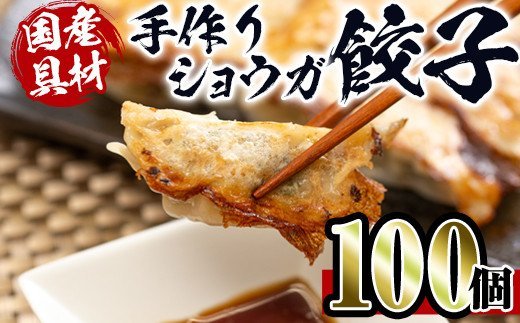 i393 国産豚肉使用！手作りショウガ餃子100個セット(10個×10パック たれ付き）具材は全て安心安全な国産！にんにく不使用！ビールのお供に相性抜群！【スーパーよしだ】