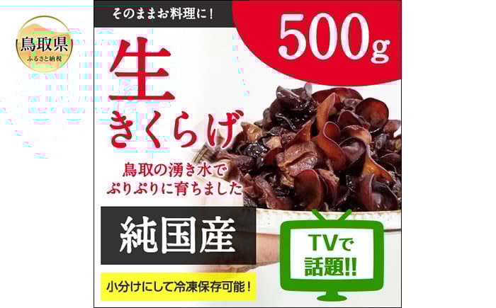
                  純国産生きくらげ500g|栄養たっぷりプリプリ食感_T2600240
                