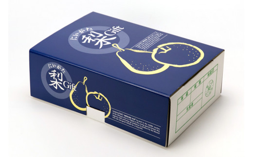 【2026年先行予約】新潟特産 幻の洋梨ル・レクチェ＆新興梨 詰合せセット 約3Kg （ル・レクチェ：5玉　新興梨：3玉） 《11月下旬以降発送》しんこう 果物 フルーツギフト 秋の味覚 加茂市 梨工房みつば会