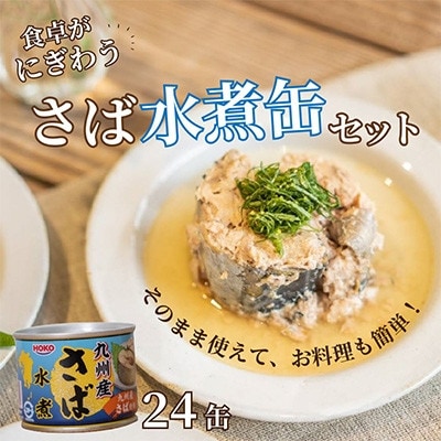 【毎月定期便】さば水煮缶セット(24缶)全6回【配送不可地域：離島】【4082373】