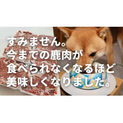 ふるさと納税 若狭町 ドッグフード　鹿肉冷凍ミンチ(犬用)1kg