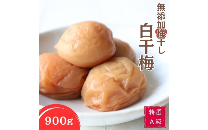 紀州南高梅 特選A級 無添加梅干し 白千梅　900g　塩分約15%【kishusogo008B】