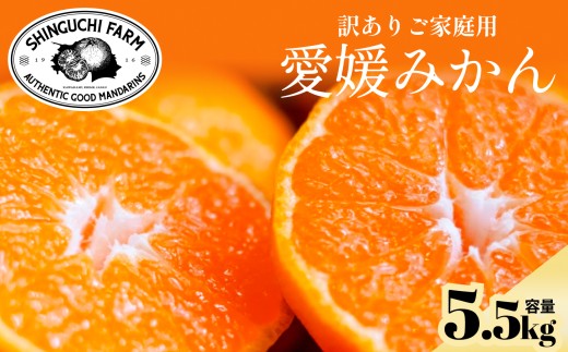【先行受付】【訳あり】愛媛みかん 5.5kg 愛媛県産【A70-149】【1700901】 YWTK148