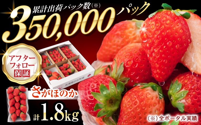 
                  【先行予約】【2027年1月以降発送】白石産いちご さがほのか 約150g×12パック（計1800g以上）【道の駅しろいしカンパニー】  佐賀県 白石 [IAA038]
                