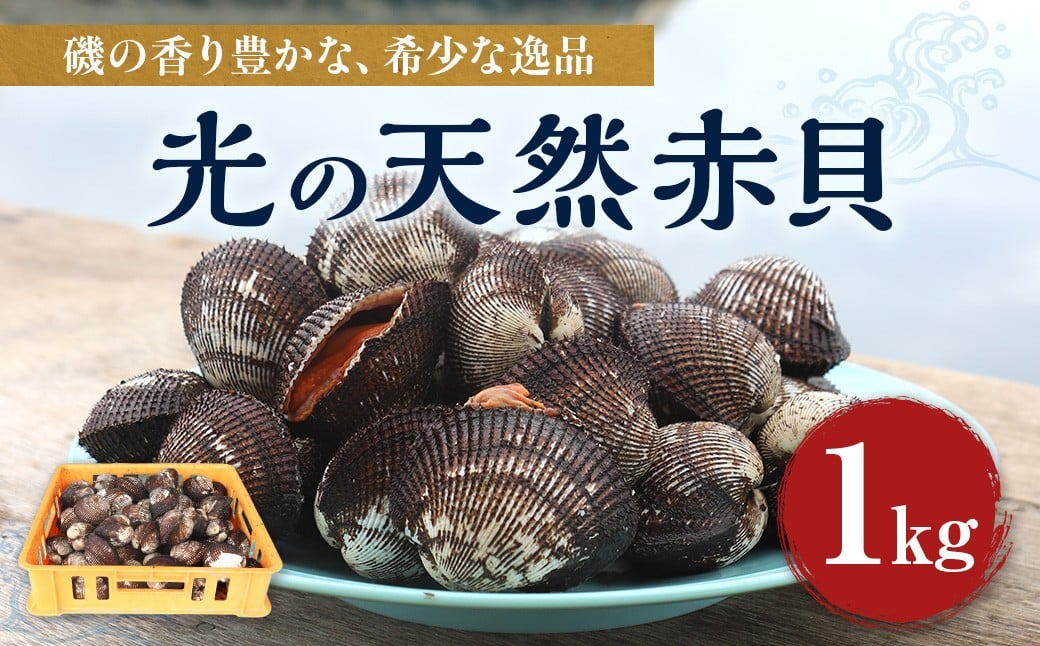 
            BP002 光の天然赤貝 1kg 【2026年1月30日以降発送】
          