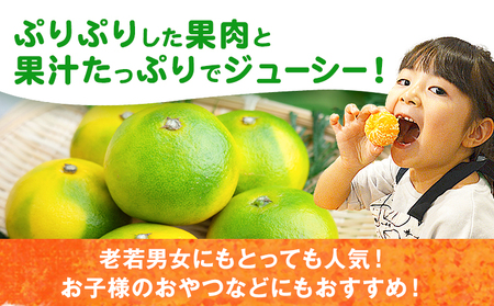 みかん 早味かん 約2kg 南国フルーツ株式会社【26年度出荷】《9月中旬-9月下旬頃出荷》福岡県 小竹町 福岡県産 みかん 早味かん フルーツ 果物
