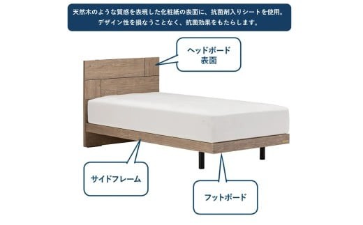 
フランスベッド ライフトリートメント LT-101F（脚付タイプ）シングル Q-365
