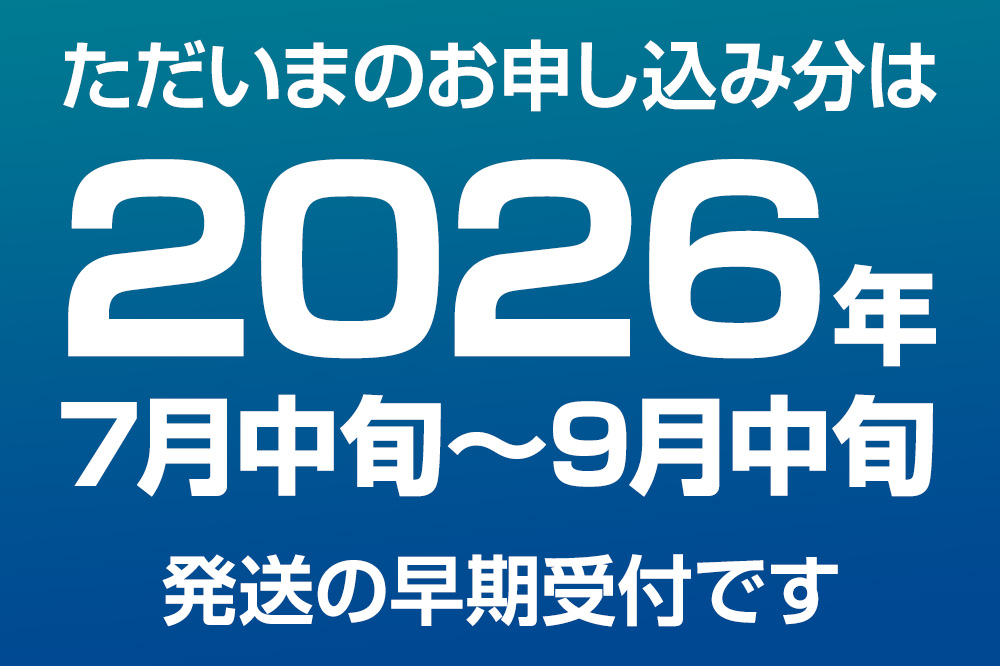 ババヘラ・メロンバラ盛りカップ＆タッパアイスセット【進藤冷菓】 ご当地アイス