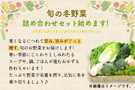 冬野菜セット 約5kg 花田農園《11月上旬から3月中旬頃出荷》白菜 大根 大葉 里芋 春菊 キャベツ 水菜 リーフレタス ブロッコリー ロマネスコ 福岡県 鞍手郡 鞍手町