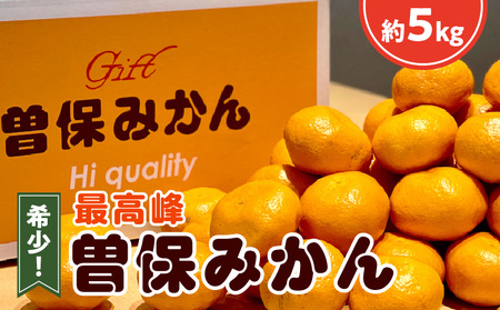 希少！最高峰曽保みかん（約5kg）フルーツ ふるーつ 果物 くだもの 三豊市【配送不可地域：北海道・沖縄県・離島】_M102-0011