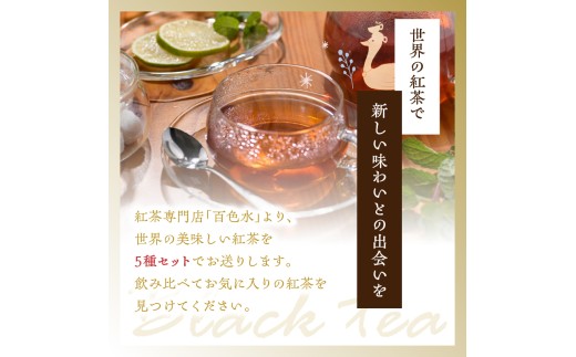 【全6回定期便】京都の紅茶専門店より世界のおススメ紅茶５種セット