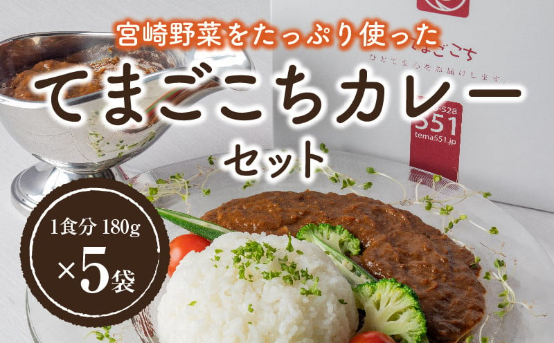 
てまごこちカレー(180g×5袋)セット_M054-001
