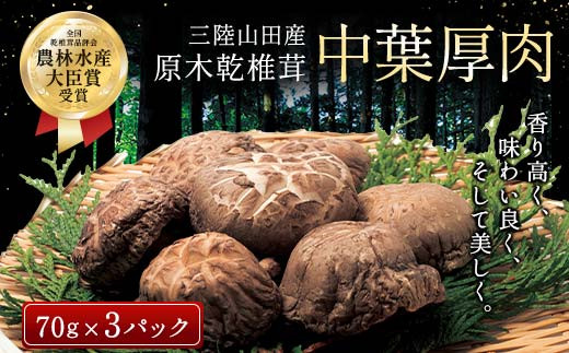 しいたけ 三陸山田産 原木乾椎茸「中葉厚肉」 三陸山田 山田町 野菜 きのこ きのこ名人 農林水産大臣賞 匠 岩手県 岩手