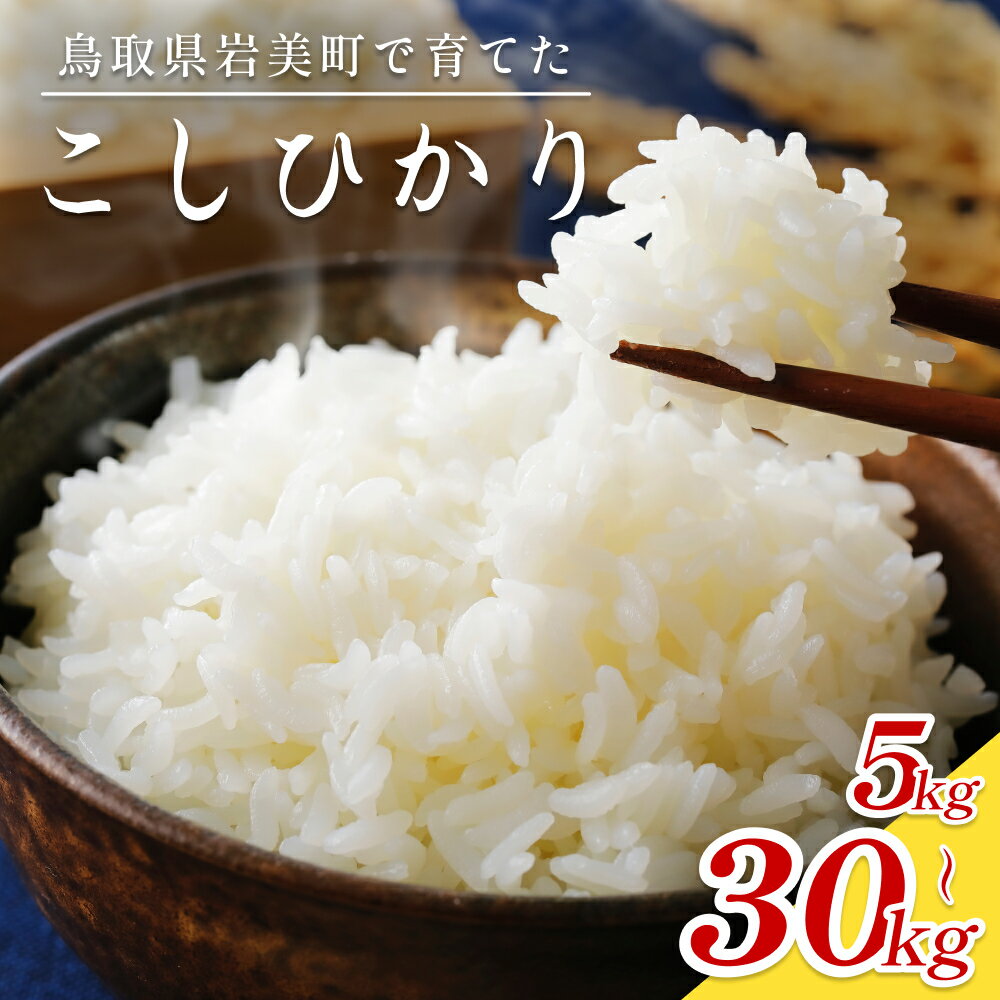 【ふるさと納税】岩美のコシヒカリ 5～30kg 玄米｜鳥取 岩美 お米 おこめ コメ 選べる内容量 5kg 10kg 30kg
