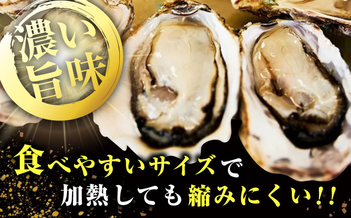 広島牡蠣の老舗！安心・安全の新鮮牡蠣【生牡蠣】牡蠣 かき 殻付き 開殻 ハーフシェルオイスター 8個入 生食用 魚介類 海鮮 広島県産 江田島市/株式会社かなわ [XBP009]