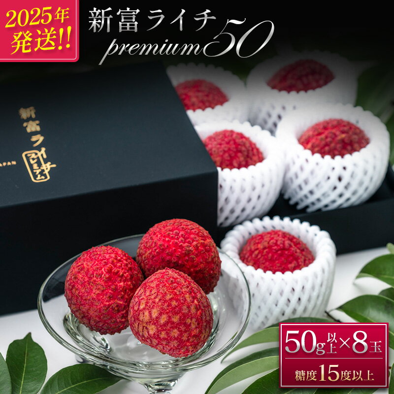 【ふるさと納税】＼レビューキャンペーン実施中／［2025年発送］希少！国産＜新富ライチpremium50＞50g以上×8玉 国産 ブランド フルーツ 果物 贈答品