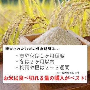 【12回定期便】コシヒカリ 6kg 定期便 精米 白米
