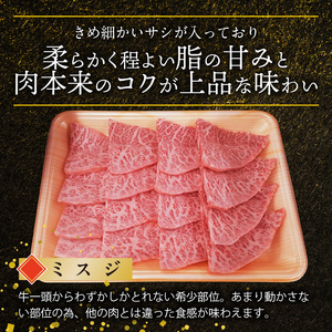 博多和牛 ミスジ焼肉 500g（250g×2p） KY4906