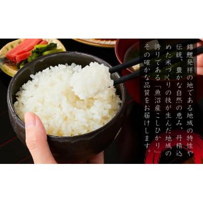 ふるさと納税 小千谷市 【錦鯉デザイン】特別栽培米 魚沼産コシヒカリ 精米10kg 棚田米 錦鯉発祥の地 小千谷産 新潟県 |  | 02