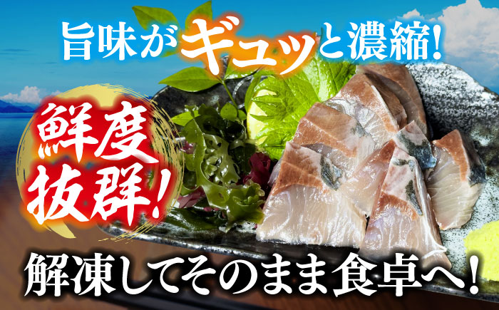 【お中元対象】新鮮なお魚盛りだくさん！海鮮詰合せ「梅」 魚介類 海産物 海鮮 刺身 広島 ＜七宝丸＞江田島市 [XBY001]