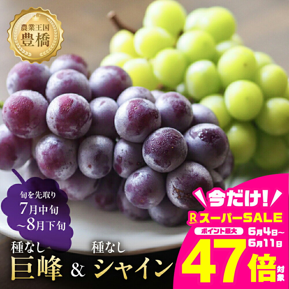 【ふるさと納税】≪先行予約≫たっぷり1.2kg 豊橋産 皮ごと 種なしシャインマスカット300g×2 種無し巨峰300g×2 ブドウ ぶどう マスカット フルーツ 甘い 1.2キロ 果物 豊橋市 愛知県 ギフト プレゼント お祝い セット 組み合わせ 詰め合わせ 旬 食べ比べ 高級 希少