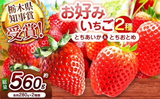 【2027年先行予約】新定番とちあいか＆元祖とちおとめ 食べ比べセット 560g