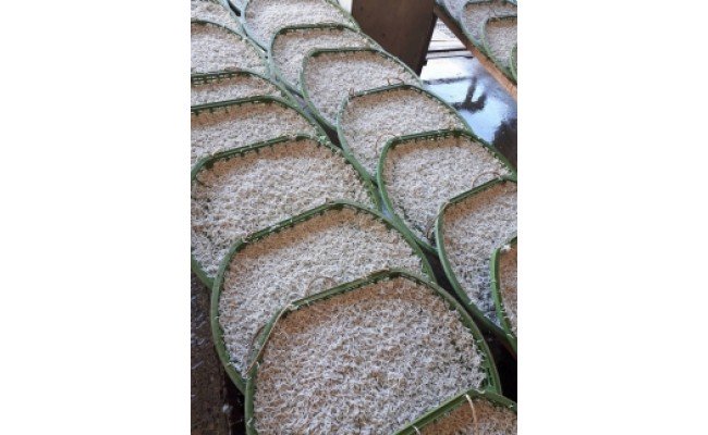 ZB6085n_和歌山産 釜揚げしらす 480g＆干物詰め合わせセット 5種12品入り【無添加・無着色】