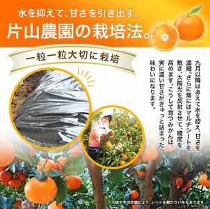 【先行予約】薄皮で濃い甘さ！完熟由良みかん【こつぶ】7.5kg×1箱（2Sサイズ）和歌山県由良産※2025年11月下旬頃から順次発送予定(お届け日指定不可) / 柑橘 ミカン 蜜柑 甘い 由良町 フル