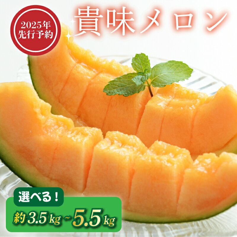 【ふるさと納税】 【2025年発送】貴味 メロン 選べる 約3.5kg ／ 約5.5kg 青肉 めろん melon タカミメロン ジューシー 産地直送 高級 ブランド 美味しい 糖度 甘い おすすめ 旬 果物 フルーツ 国産 季節限定 期間限定 数量限定 ギフト プレゼント 千葉県 旭市 向後メロン園