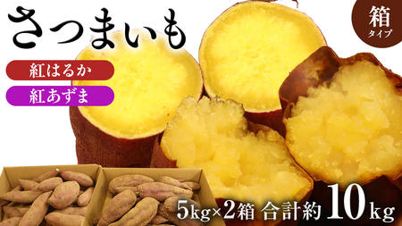 さつまいも 【 紅あずま ・ 紅はるか 】 5kg ( 箱込 )の 2箱セット さつまいも 詰合せ 国産 農園 野菜 サツマイモ 芋 期間限定 デザート スイーツ おやつ 料理 味噌汁 煮物 生芋