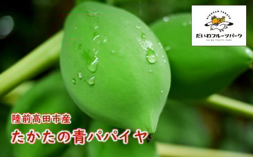 青パパイヤ 約2kg (目安：3～4個)【 パパイヤ 新鮮 野菜 炒め物 農薬不使用 】 岩手県 陸前高田市産
